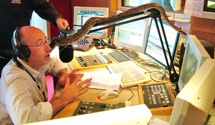 snakes phobia on the radio