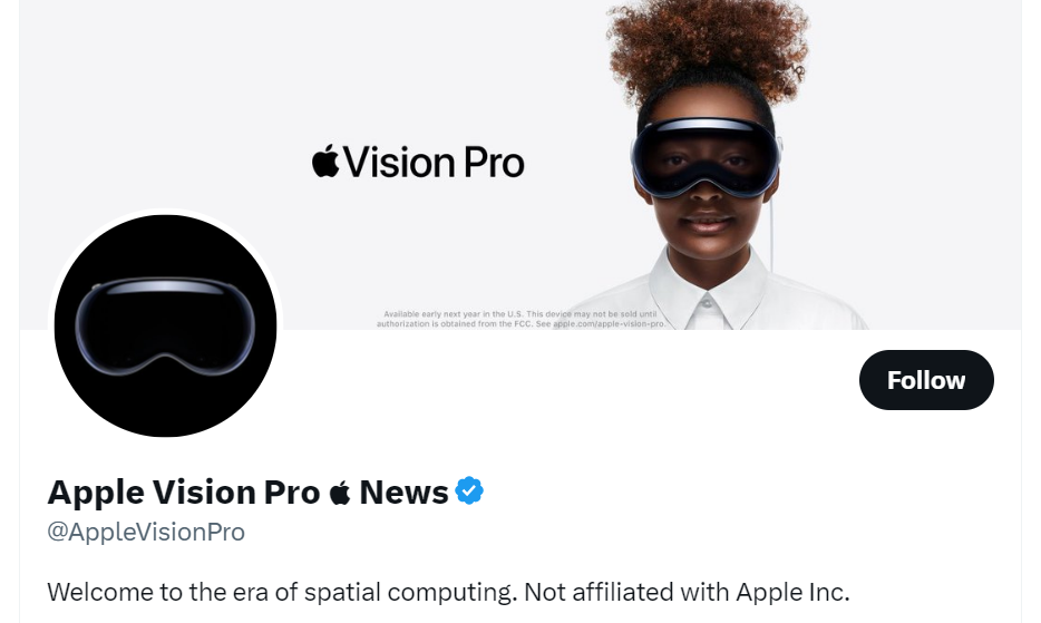 Apple Vision Pro reviews