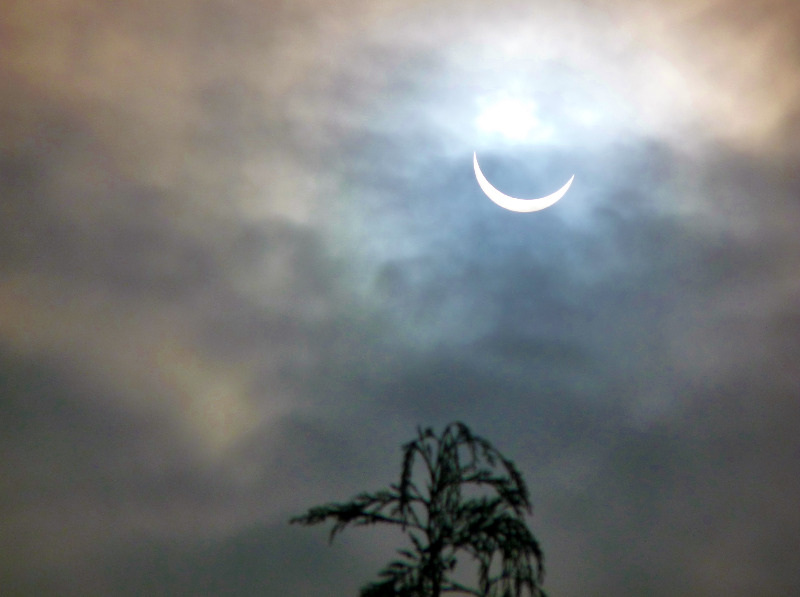 solar eclipse pictures 2015 (3)