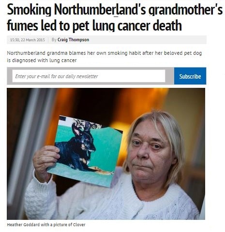 news story about smoking and pets