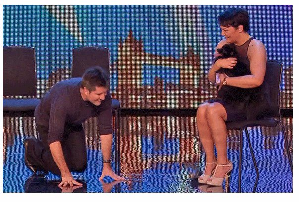 was simon cowell really hypnotised by a dog
