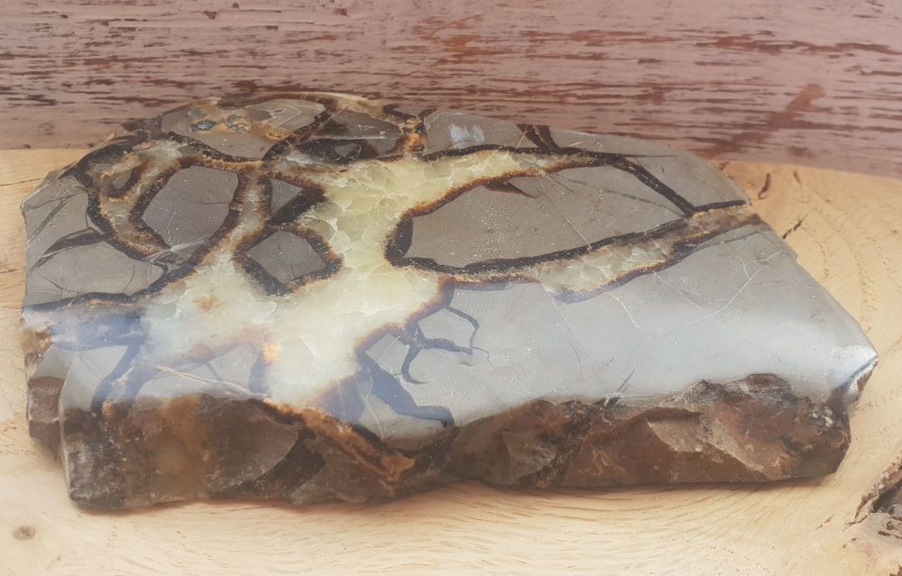 Septarian Slice - Altar Charging Plate