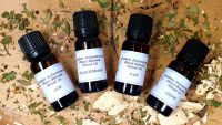 Hand Crafted Tree Candle Anointing Spell & Ritual Oils ~ You Choose ~ Oak, Blackthorn, Ash, Elder