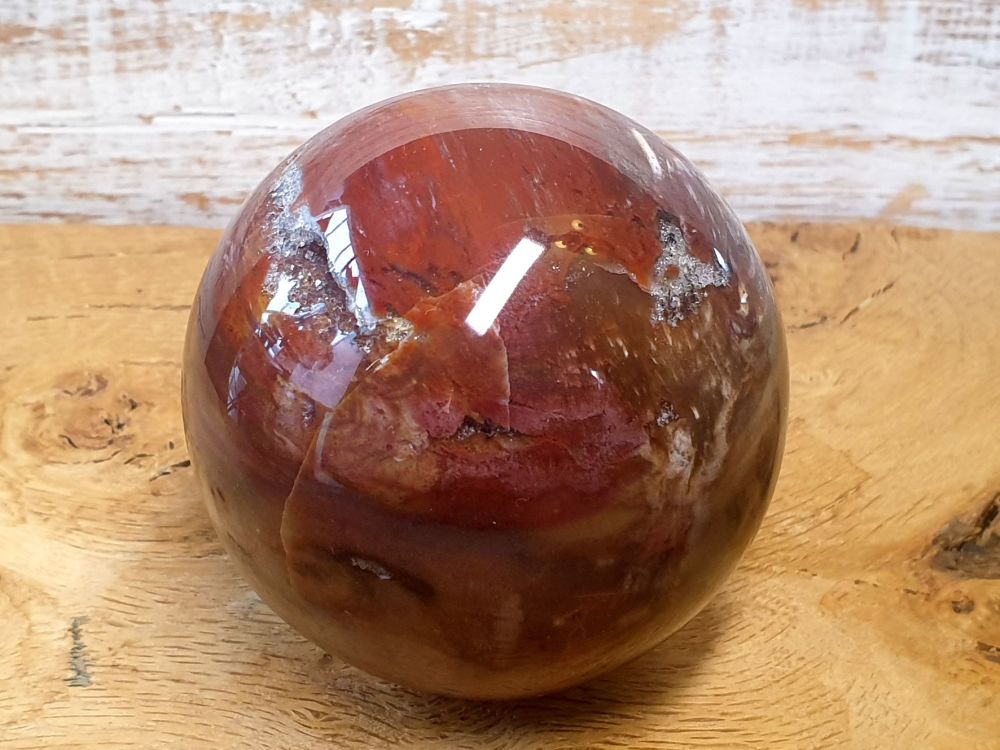 Fossil Wood Sphere (2)