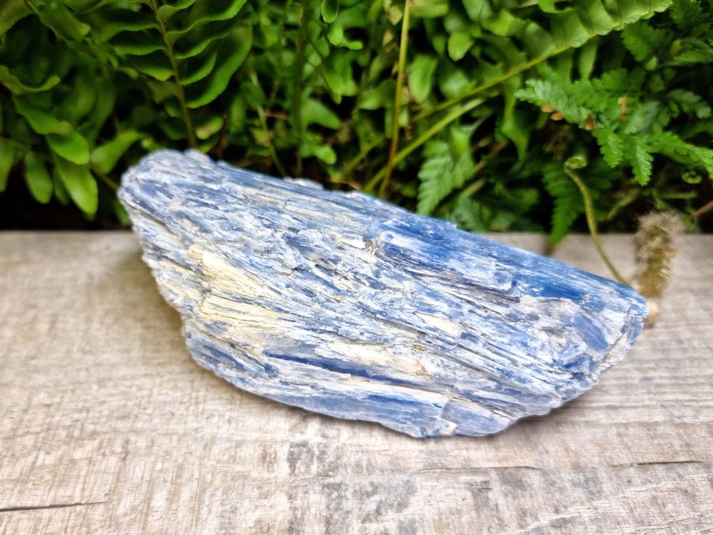 Blue Kyanite - Large