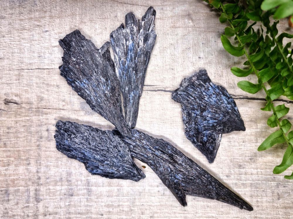 Black Kyanite Blade with Stunning Flecks of Blue Kyanite