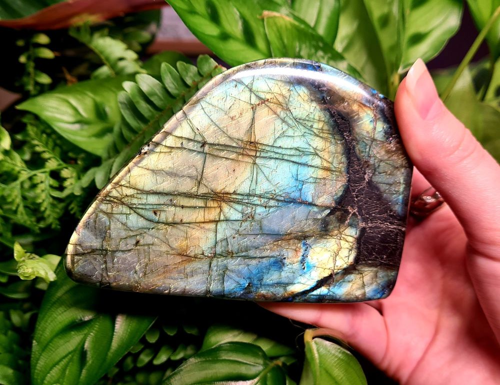Labradorite Freeform (1) - Psychic Protection, Magick, and Intention Setting