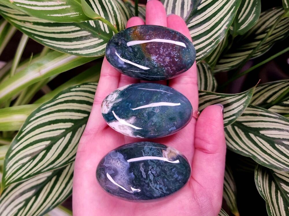 Green Moss Agate Palmstone