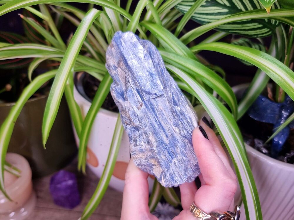 Blue Kyanite Blade - Large - Balance and Align Your Chakras