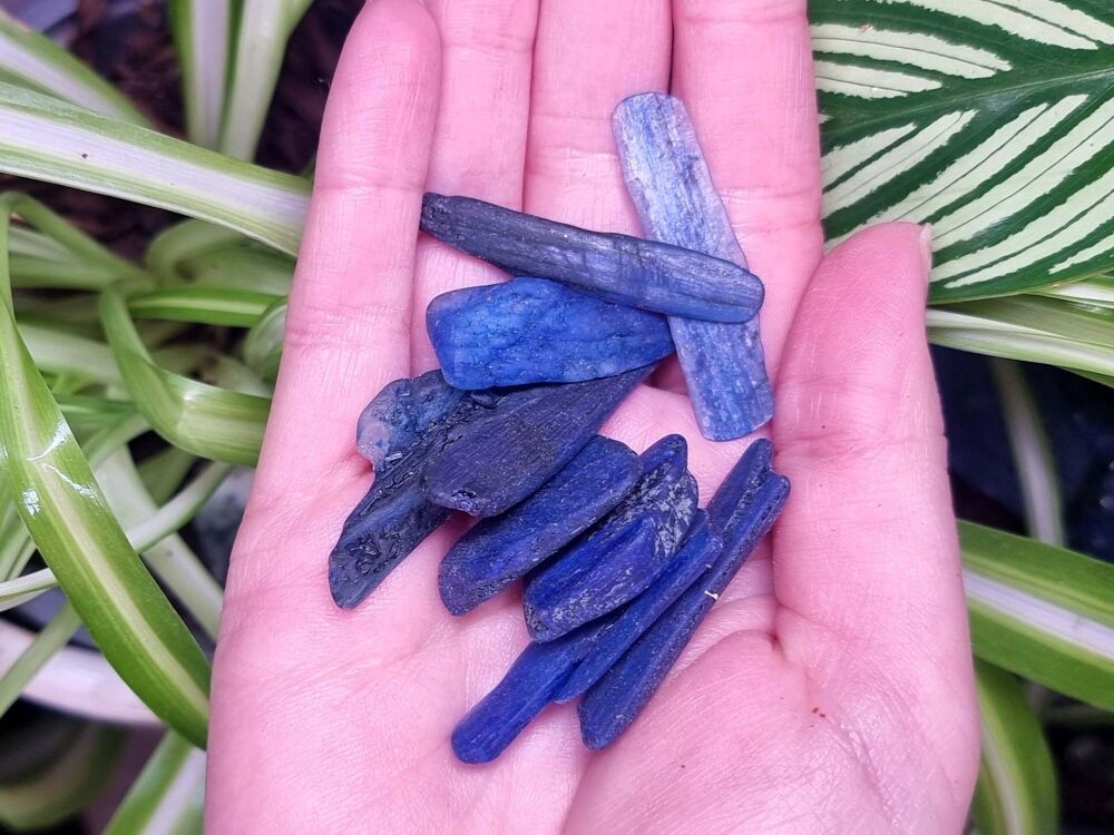 Blue Kyanite Part Polished (Sml)
