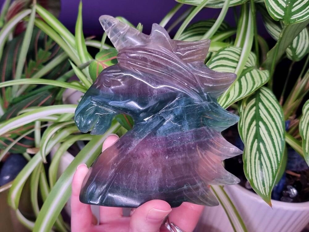 Fluorite Unicorn - Guardian of the Sacred Pathway - Air and Crown