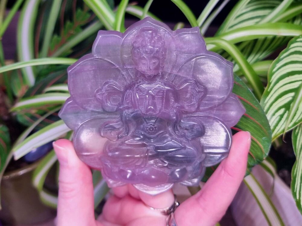 Fluorite Buddha - Sacred Space and Centre