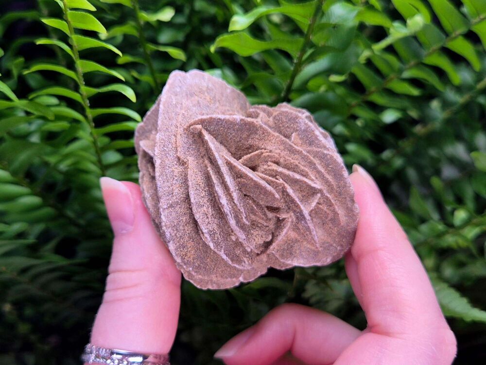 Desert Rose Selenite Specimen (3) - Upper Realms