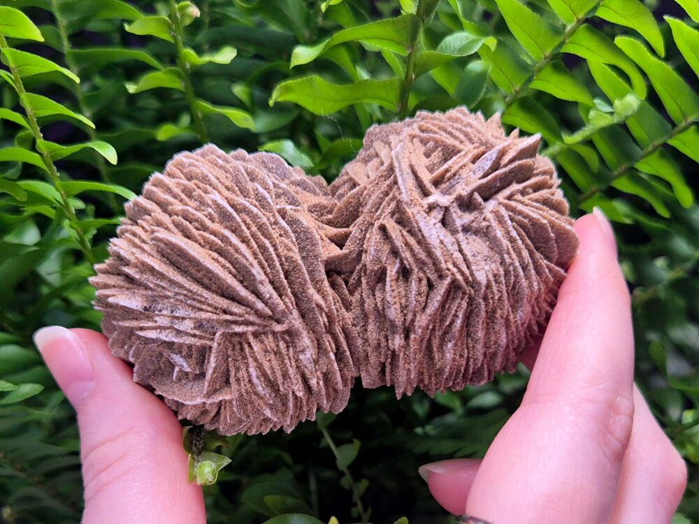 Desert Rose Selenite Specimen (4) - Upper Realms