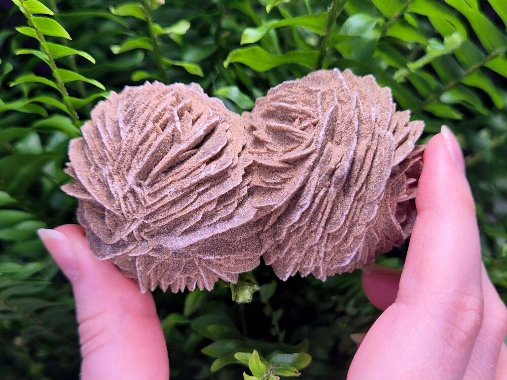 Desert Rose Selenite Specimen (4)