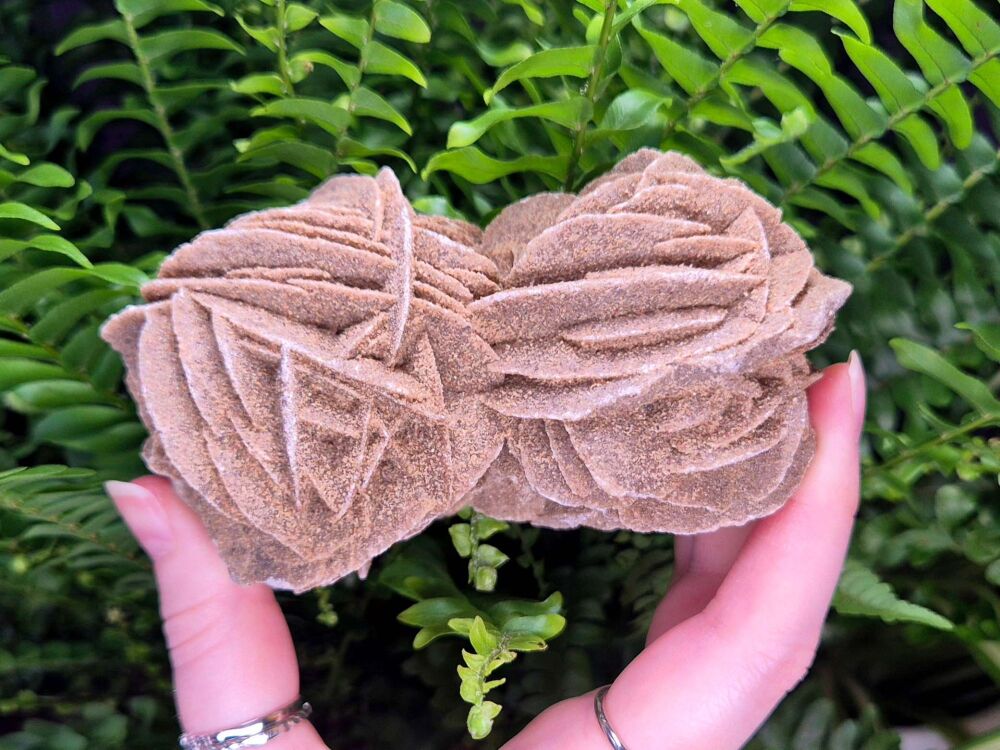 Desert Rose Selenite Specimen (5) - Upper Realms