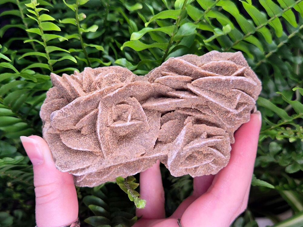 Desert Rose Selenite Specimen (5)