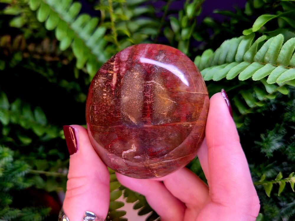 Petrified Wood Palmstone (1)