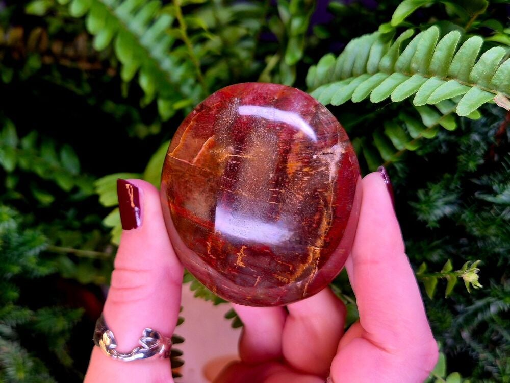 Petrified Wood Palmstone (1)