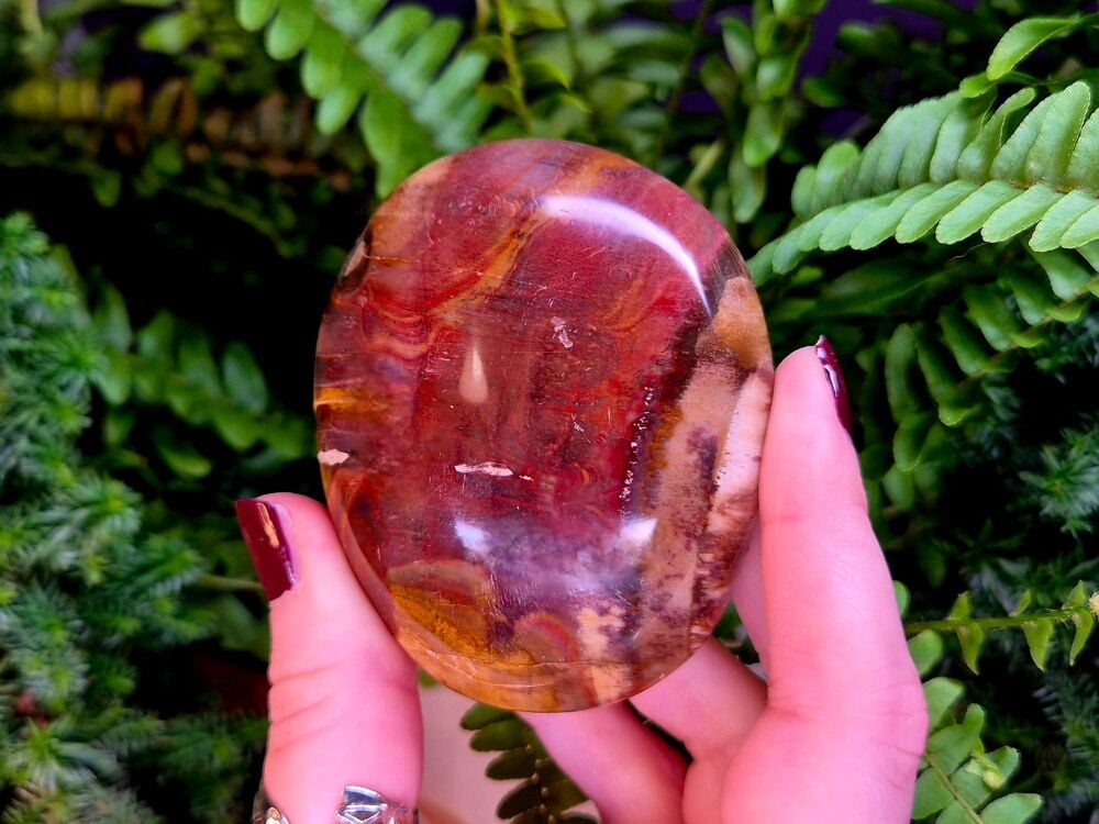 Petrified Wood Palmstone (2)