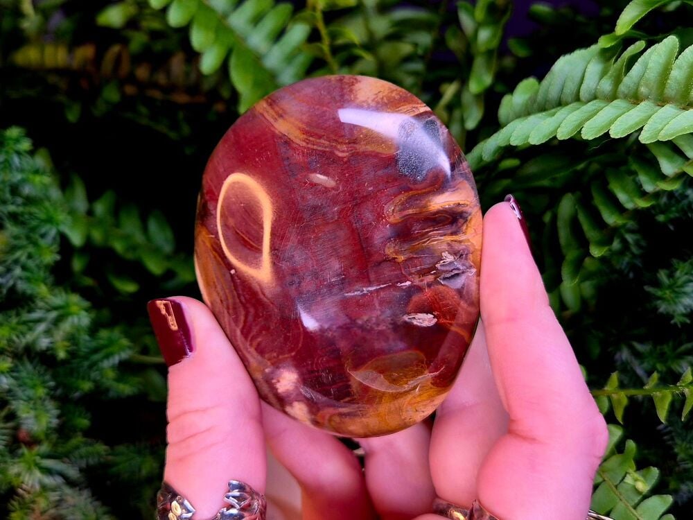 Petrified Wood Palmstone (2)