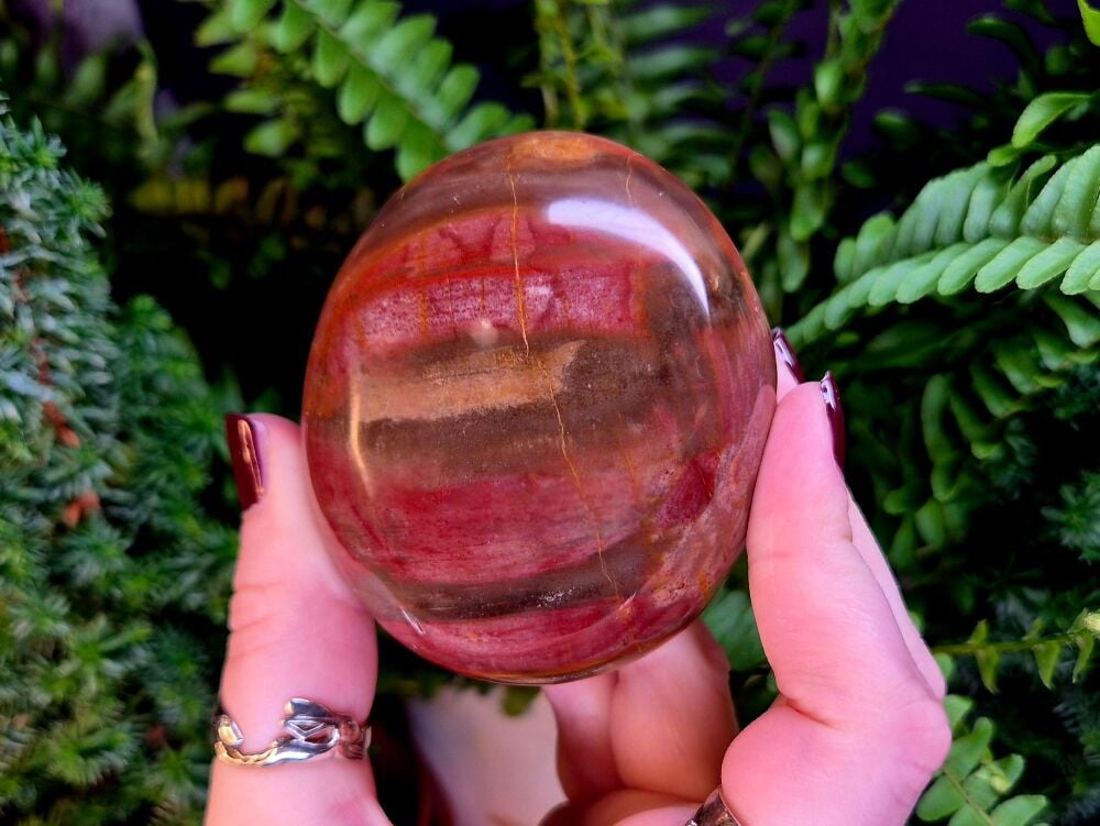 Petrified Wood Palmstone (3)