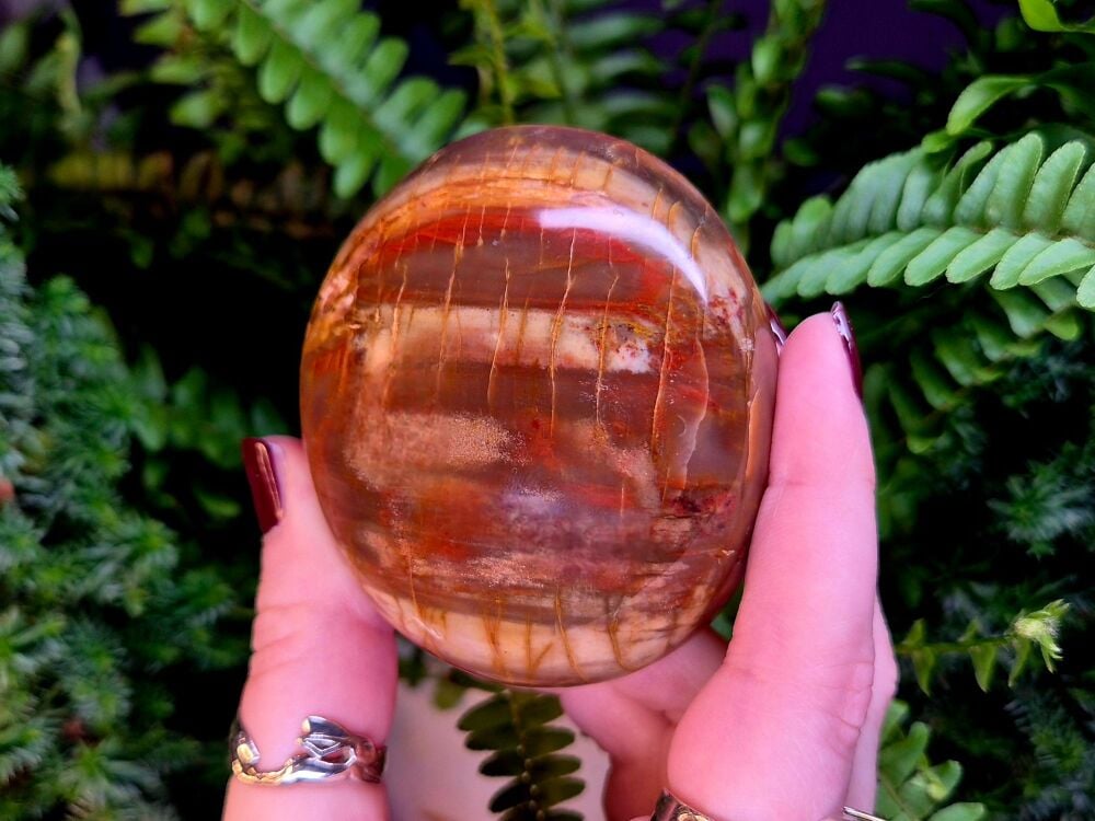 Petrified Wood Palmstone (3)