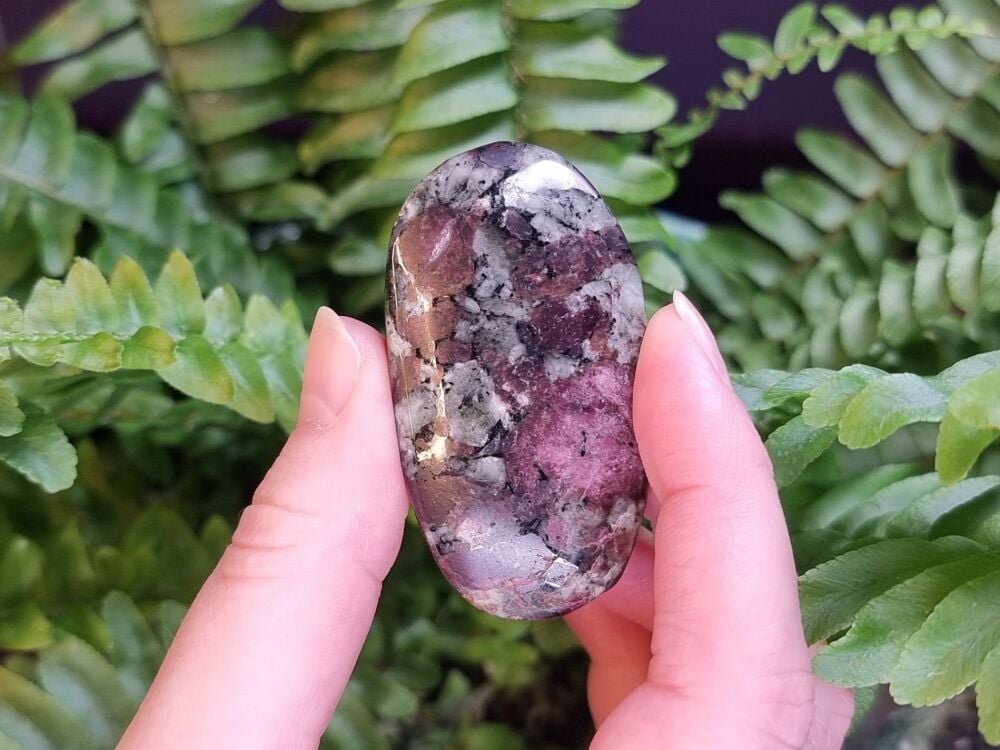 Eudialyte Palmstone (1)