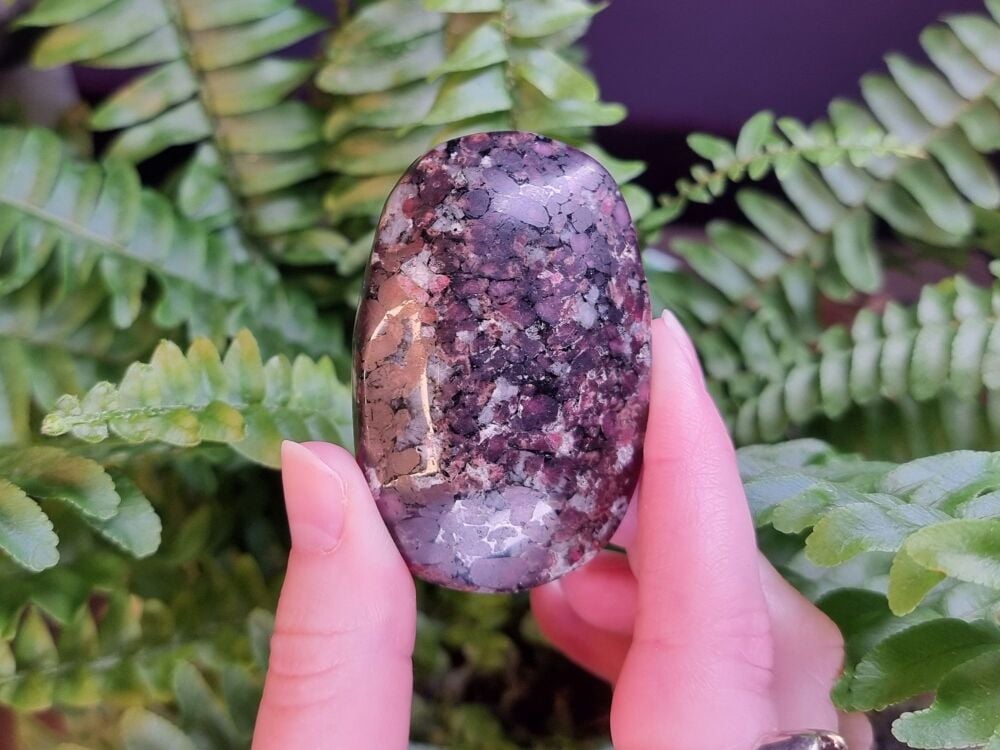 Eudialyte Palmstone (4)