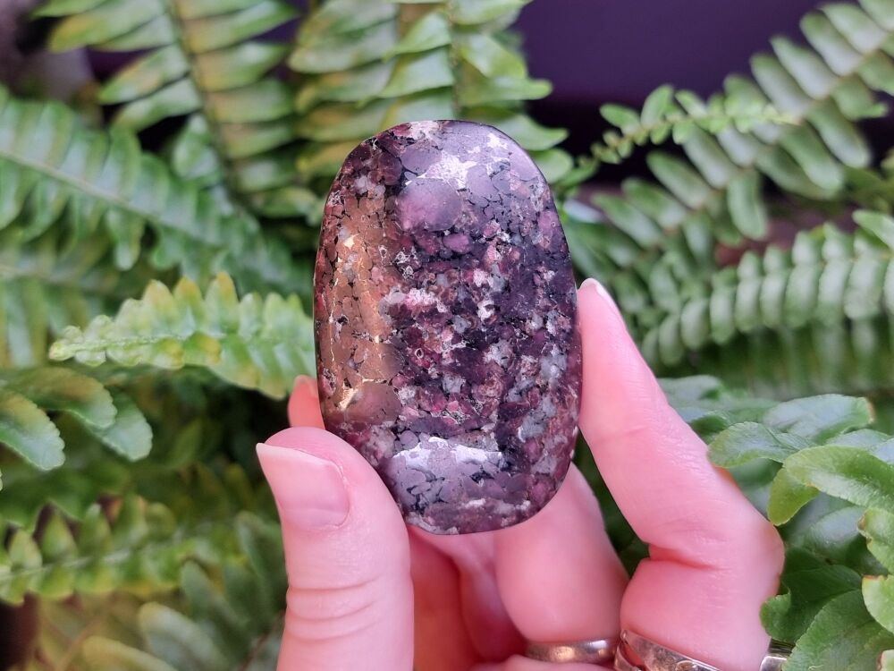 Eudialyte Palmstone (4)