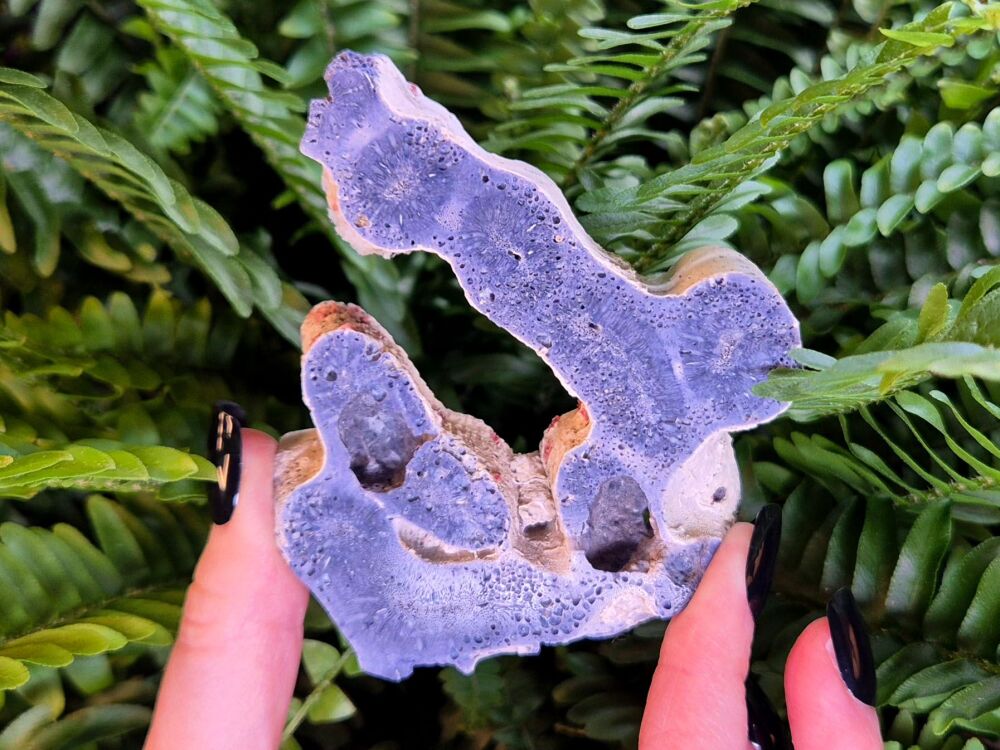 Fossilised Blue Coral Slab - Ocean Wisdom Keeper Intuitively Chosen - (Large)