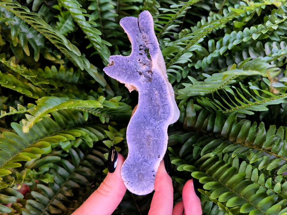 Fossilised Blue Coral Slab - Ocean Wisdom Keeper Intuitively Chosen (Small)