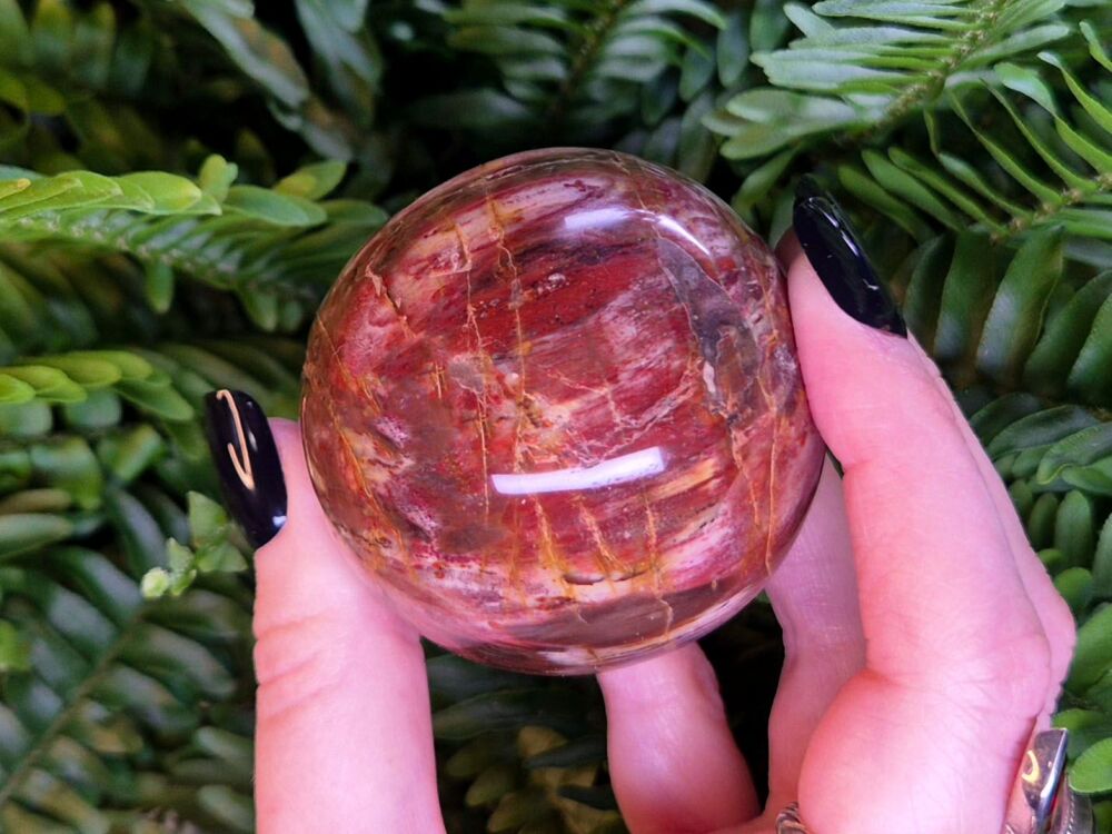 Petrified Wood Sphere - Balance and Stability (1)