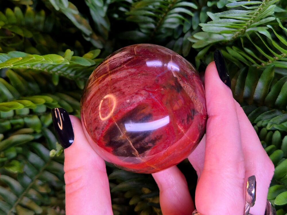 Petrified Wood Sphere - Balance and Stability (1)