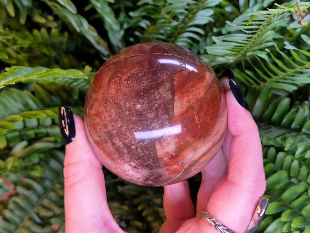 Petrified Wood Sphere - Balance and Stability (2)