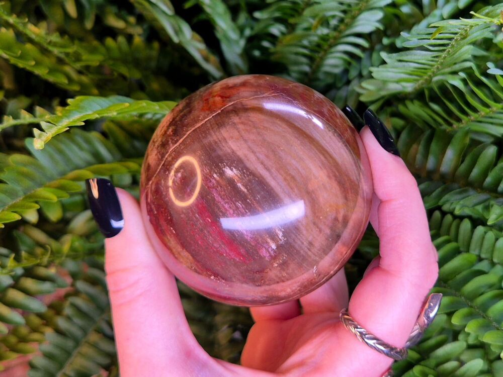 Petrified Wood Sphere - Balance and Stability (2)