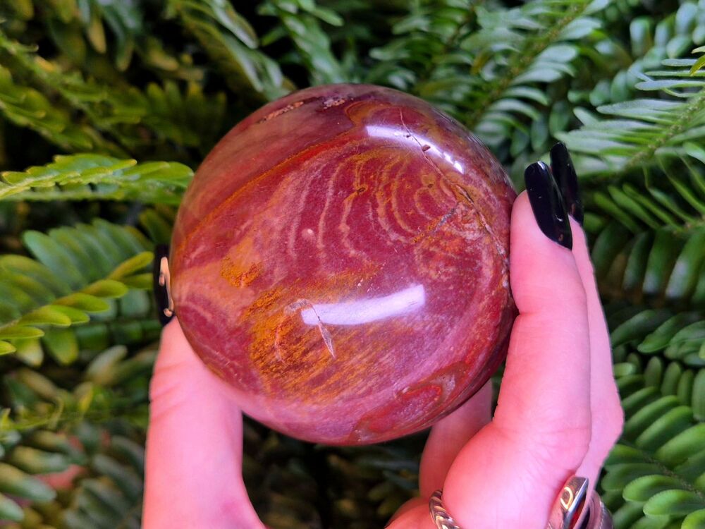 Petrified Wood Sphere - Balance and Stability (3)