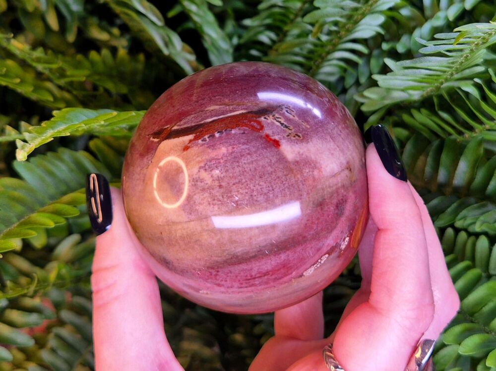 Petrified Wood Sphere - Balance and Stability (3)