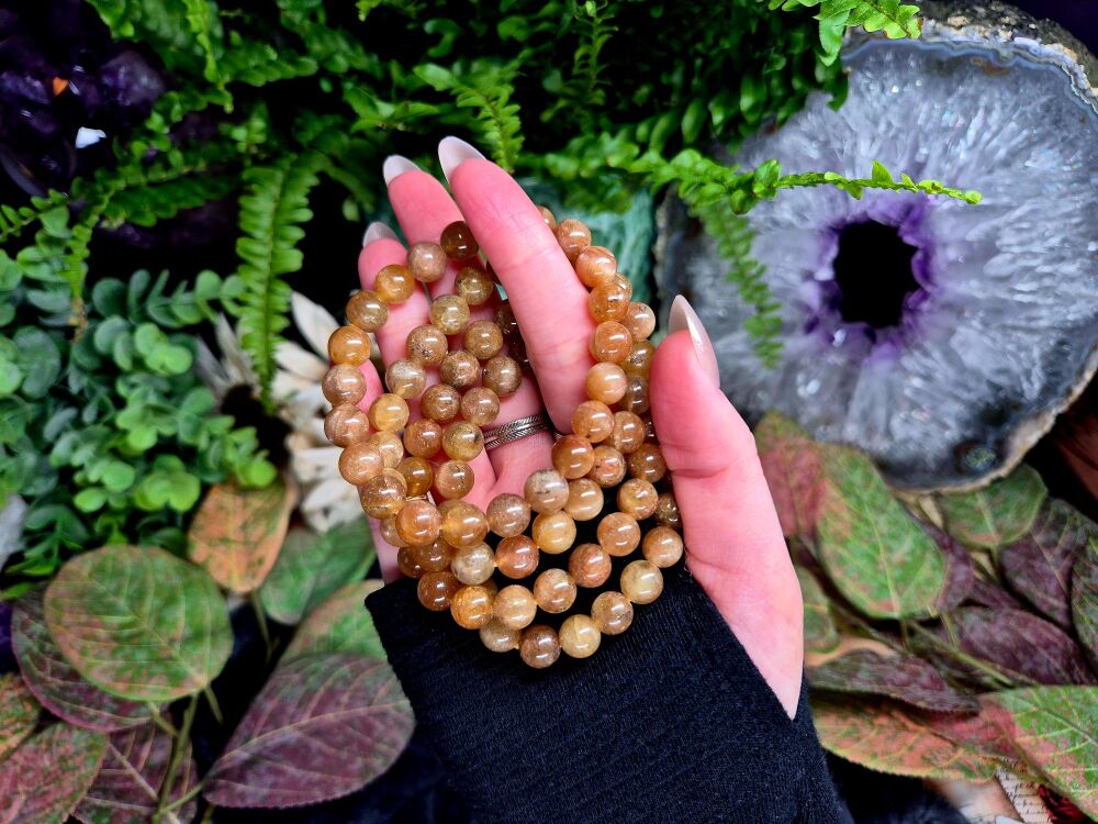 Golden Apatite Bracelet