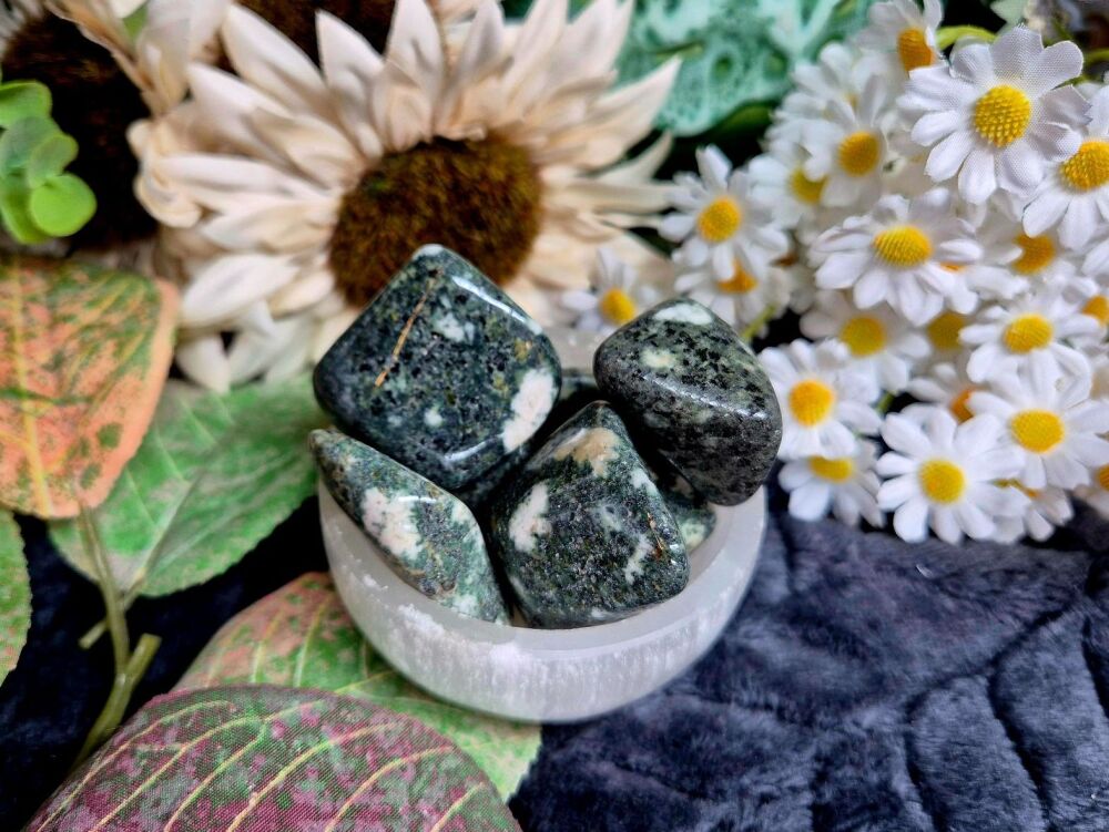 Preseli Bluestone  XL Tumblestone