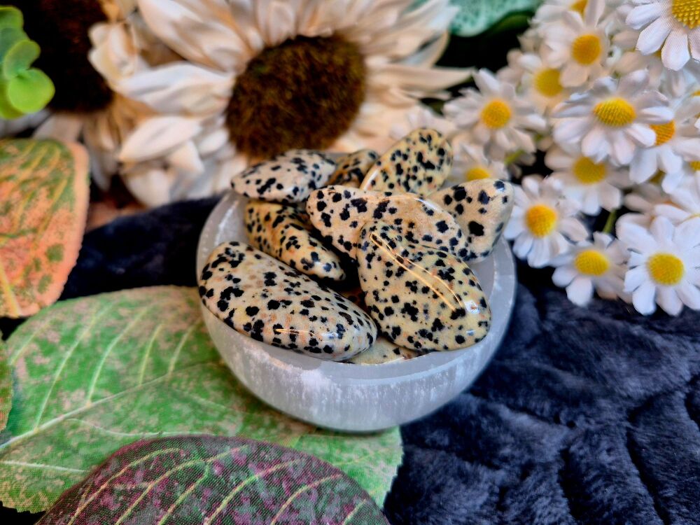 Dalmation Jasper Tumblestone