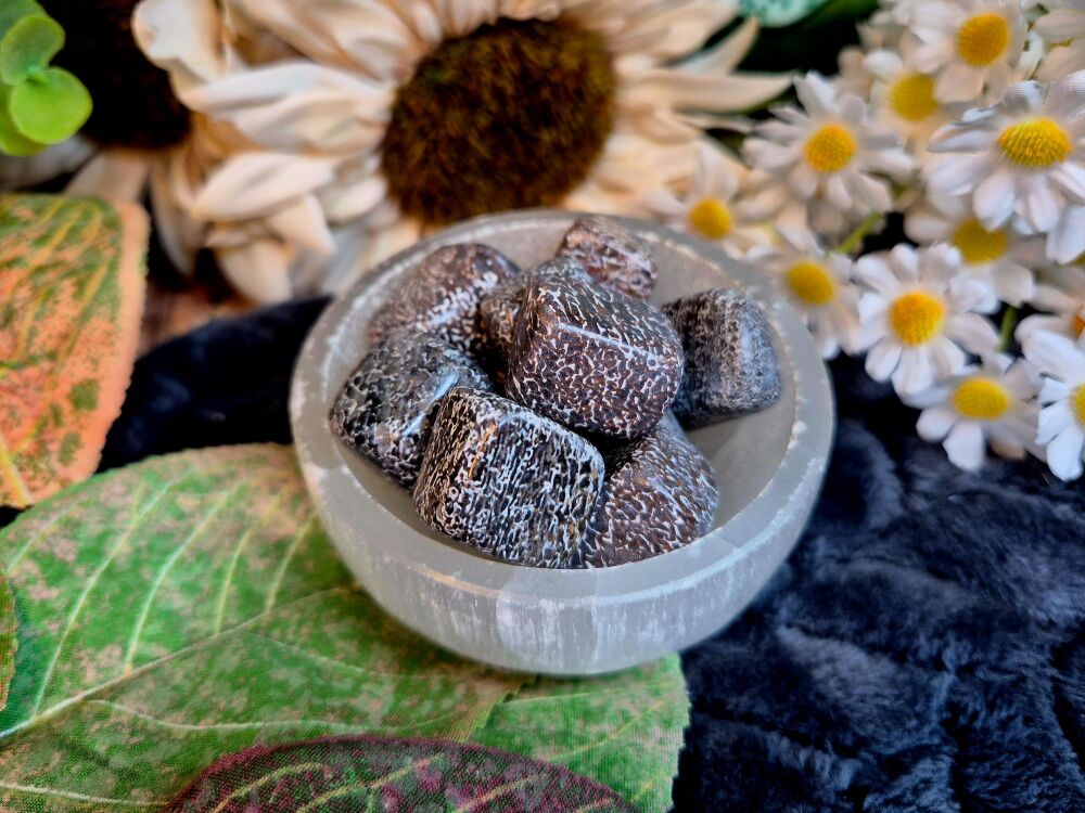 Dinosaur Bone Tumblestones - Connect With Ancient Earth