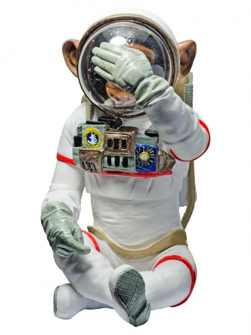 Monkey Astronaut 1 