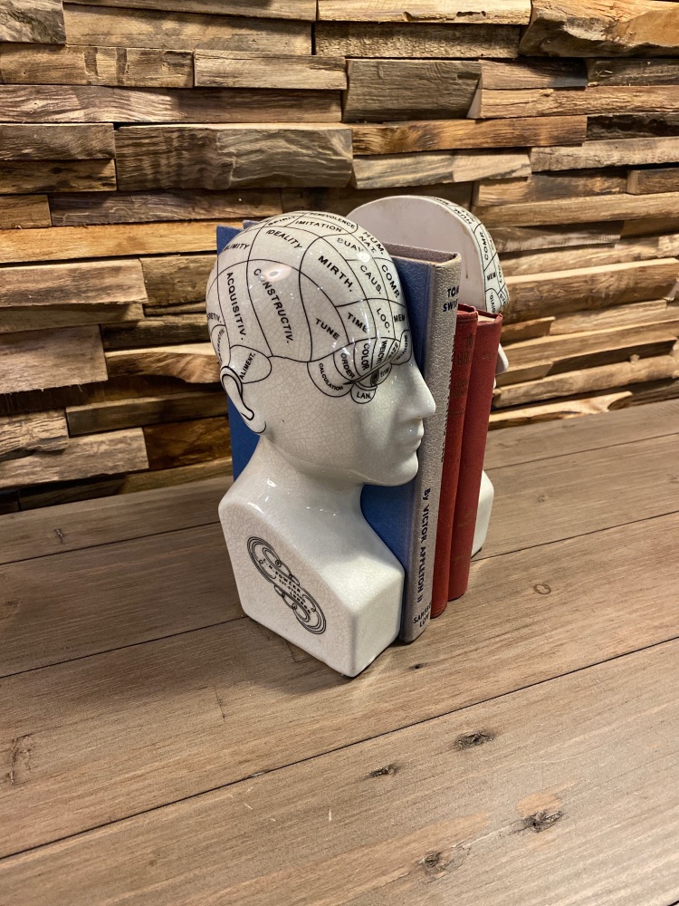 Ceramic Phrenology Head Bookends 