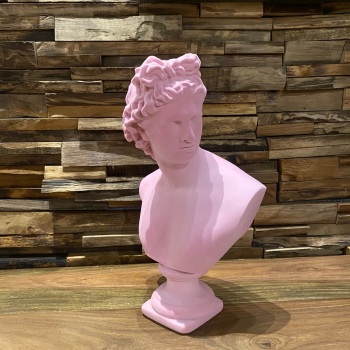 Pink Flock Apollo Bust 