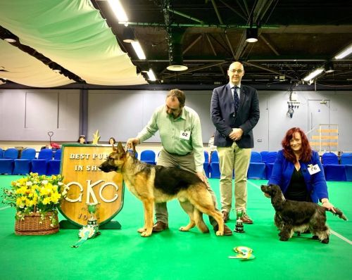 Norah Reserve Best Puppy in Show Members Show