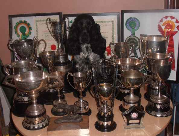 freddie and trophies 2013