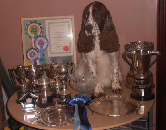 oliver and his trophies from 2013