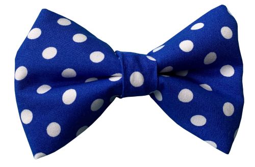 Royal Blue Dot Bow Tie