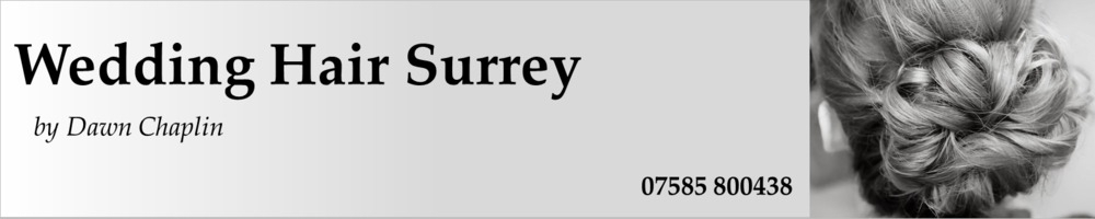 Wedding Hair Surrey by Dawn Chaplin, site logo.